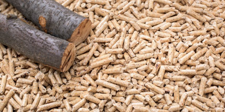 Caldaia legna e pellet